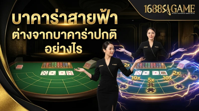 ประเด็นสำคัญสำหรับผู้เริ่มต้น